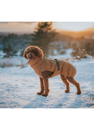 V5HED923870C832377851B33BB11F27E448R5575898P5