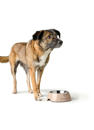 V5H470A70539FCD77766906A91797054C36R5574362P3