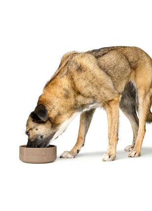 V6HB300F28EFAC90FEB90897DEA131D035CR6455852P2