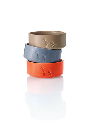 V6H18C0523EDE74D726348040D64971B4B2R6456020P5