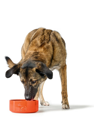 V6H12844D190494C80CD416181BA07D3244R6456086P4