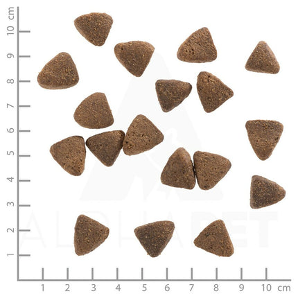 V5HA3A8E04F63FCF89F0BEFC5477140FF62R6454246P4