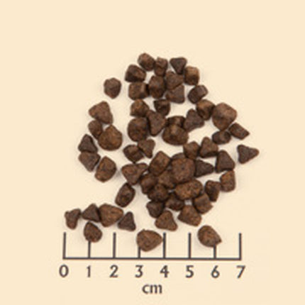 V5H9DE1FBC5959EEF60FCEE2D5839A370B3R6454323P4