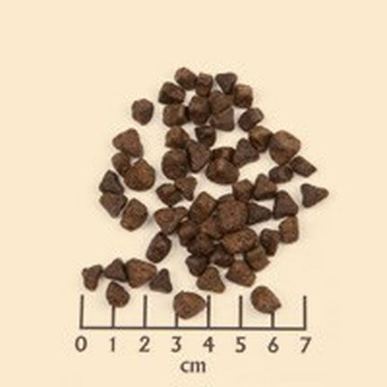 V5H3F7BCDF0EC6701A2774FCB84497E2AB6R6454319P2