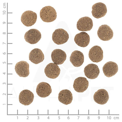 V5H101469D5C6EB8753DC1CBFC72E8FD1EFR6454415P9