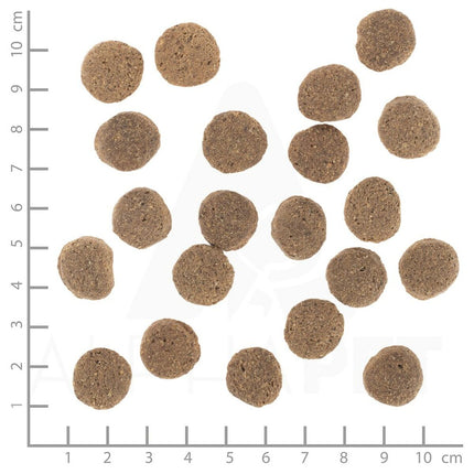 V5HE07C587D1DC6FC97D560EA294D009FB2R6454407P3