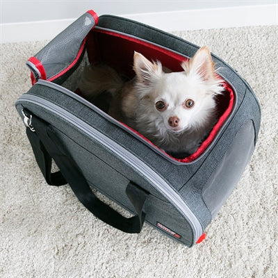 Kong Dog Bag 2-In-1 Mit Ligmat