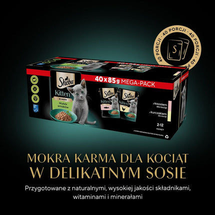 V6H42DE16C2D4465F72B05DD138E1EA60A4R6608360P10