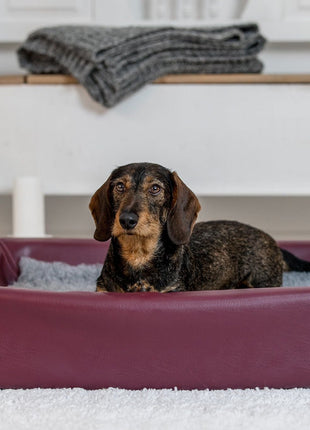 Hundebett KUDDE Kunstleder