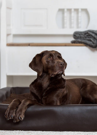 Hundebett KUDDE Kunstleder