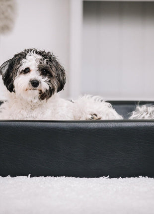 Hundebett KUDDE Kunstleder