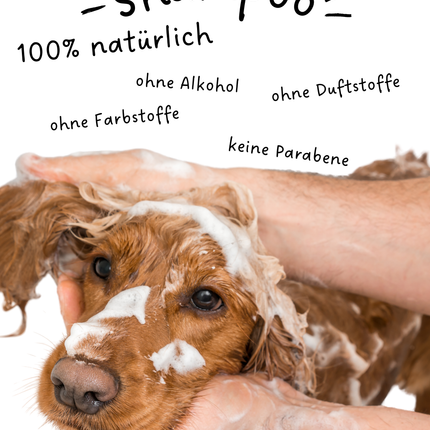 Riolino Shiny Fur – Sanftes Hundeshampoo für glänzendes Fell