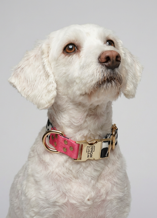 Halsband CandyMix