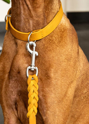 Hundeleine Soft Leder mit Handschlaufe und geflochtenen Element