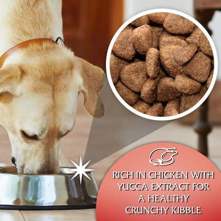 V5H338FAC2004FFA36C0CF3BD19E5957F97R6450382P3