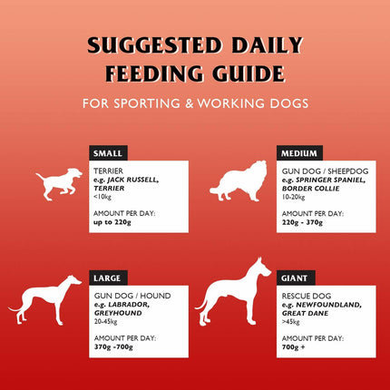 V5HB8346FBD718FD1E88BCD9F7A51A5ED13R6450385P5