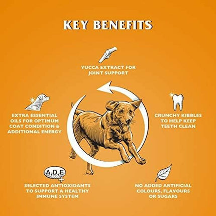 V5H251E16A8CD416FEBFA6C15DCEE38A711R6450300P5