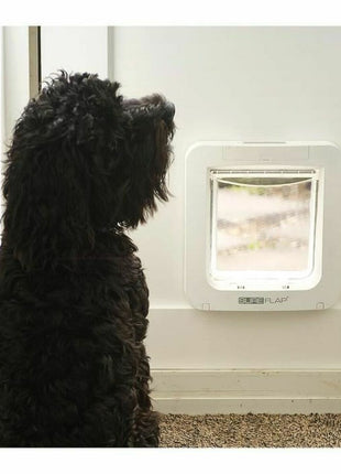 V9HB7994506F60AB8960A3AA4F8C9E77DC0R3745254P4