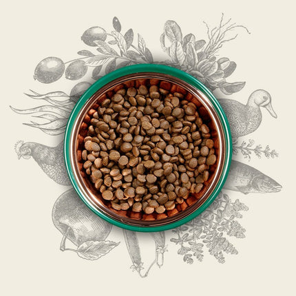 V3H012F617F635A9521386C21175BAD4B08R5624064P4