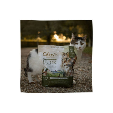 V3H95E7D9F14757C9EB986558614E41D5CER5624081P4