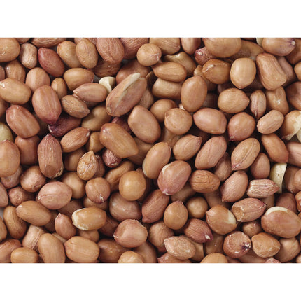 V6H36B6B0E93CA7A72E76B83BE63C00EF58R7449966P3