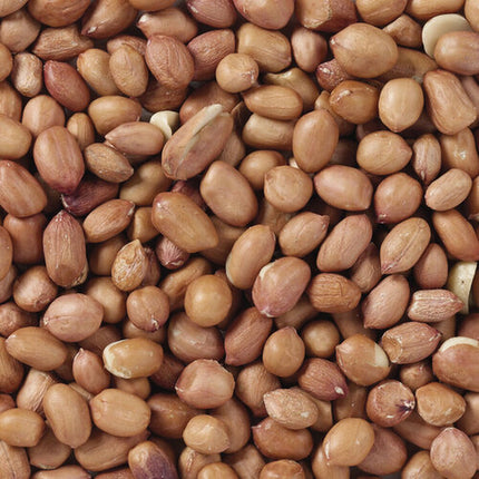 V6HB98269DCF531C91FCD0E2A921E3F511BR7449967P4