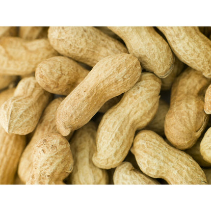 V6H2F9F25EC63120DA1E91F3600B0ED5193R7447879P3