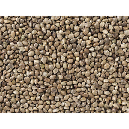 V7H3444AACA27DE0BDF928B67A31FB998A4R7449982P3