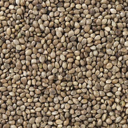 V7H39BCC0A9733A2E4DDC9CCC58BDF7271DR7449983P4