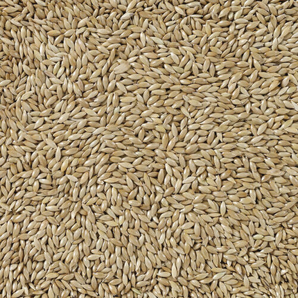 V6HEBE085DAFBADBCCF15D37C5BB3D27C73R7450073P4