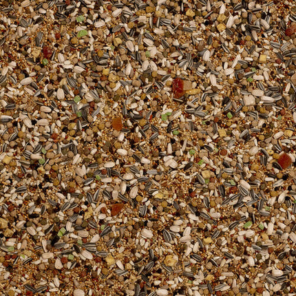 V8HFC7C4D994BBB319974AF79F0491A55AFR7450587P4