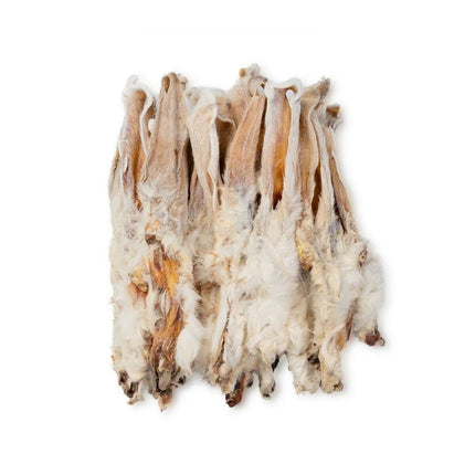 V5H7ED1E9B412501450B900685DA33ADAEDR5867361P2