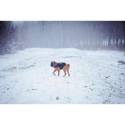 V5H4022C0BBEF08A5F2EFD3802D81FC5343R7445350P2