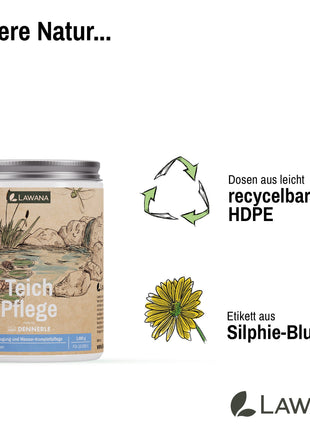 Teich Pflege