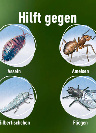 COMPO Bettwanzen- und Insektenspray kriechende & fliegende Insekten