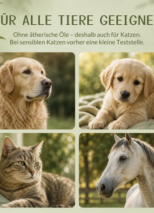 Allergo Control Knabberstopp