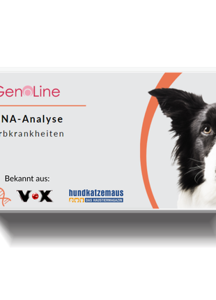 DNA-Erbkrankheiten Analyse Hund