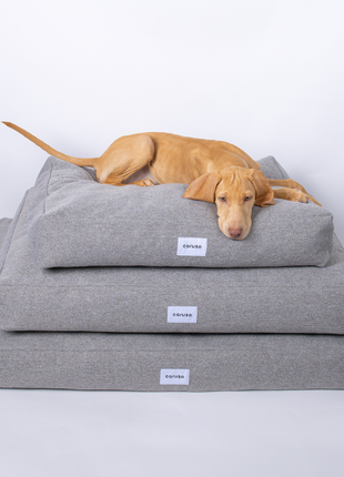 Hundebett Clean