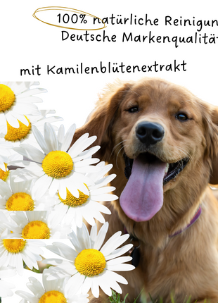 Riolino PureEars – Sanfter Ohrenreiniger für Hunde und Katzen