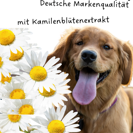 Riolino PureEars – Sanfter Ohrenreiniger für Hunde und Katzen