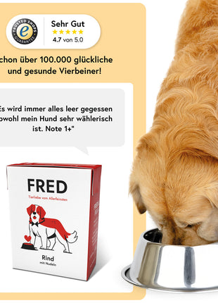 Rind mit Nudeln