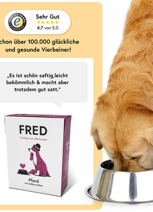 Pferd mit Süßkartoffeln