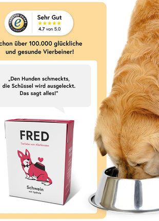 Schwein mit Spätzle