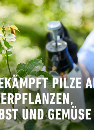 COMPO Duaxo® Universal Pilz-frei AF  Rost, Blattflecken