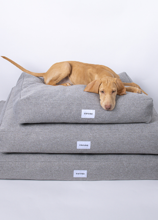 Hundebett Clean