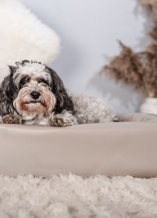 Hundebett KUDDE Kunstleder