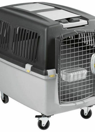 V8H7DE15545661C4A53A8E5F267E6347CF6R6449090P1