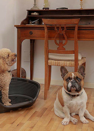 V8H7C7EEC30D3AED769DB1B29FB3EF1B71FR4558507P6