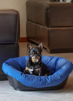 V6H1C7D229651DBBDCFDDC6666FFB54B436R6689575P5