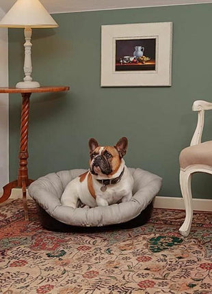 V6H5AE066375A43E54E64B4EA0FCF64FAD2R7413624P5